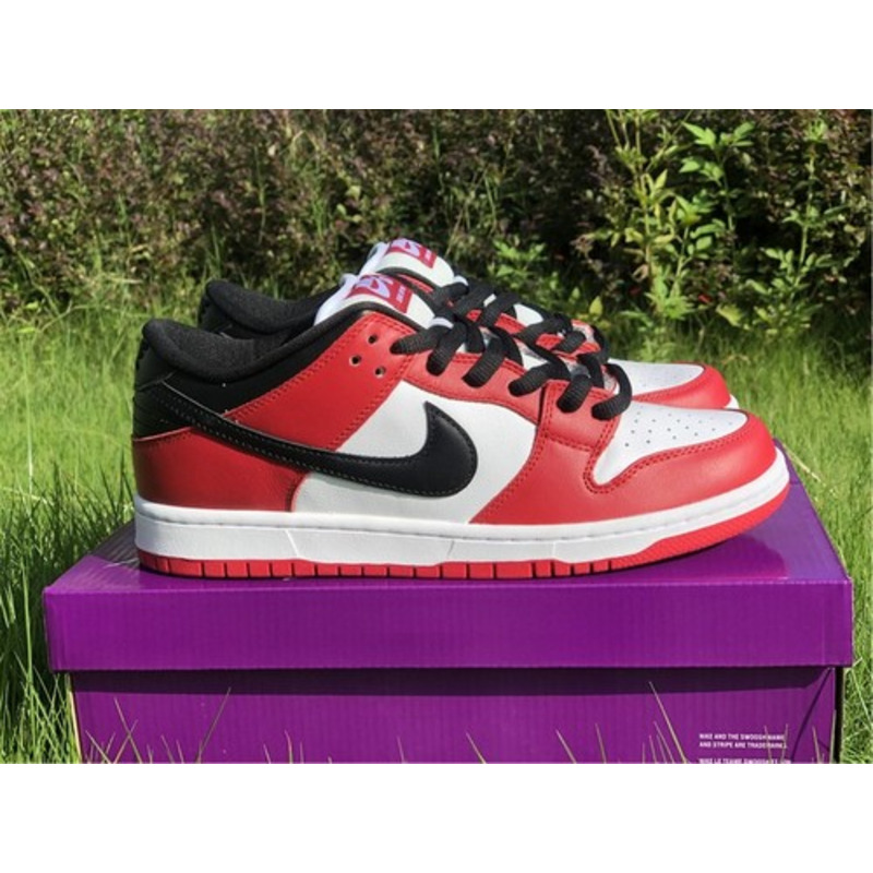 Nike Dunk SB Low 