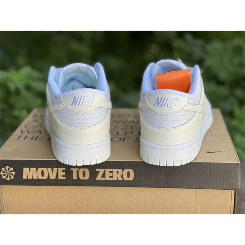 Nike SB Dunk Low DD1673 101 Sneakers Men Women